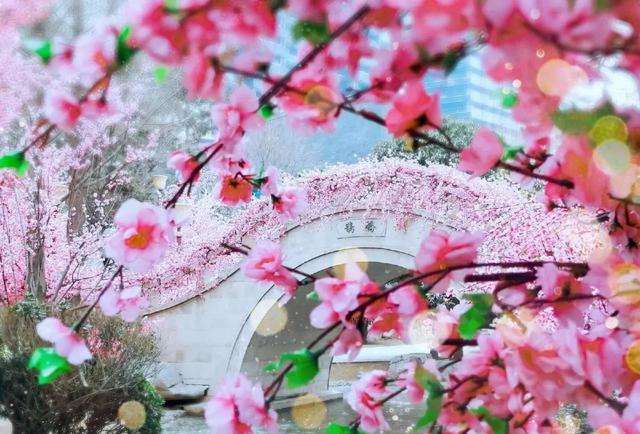 考上了要请客！古人登科后如何庆祝？古代“升学宴”一览