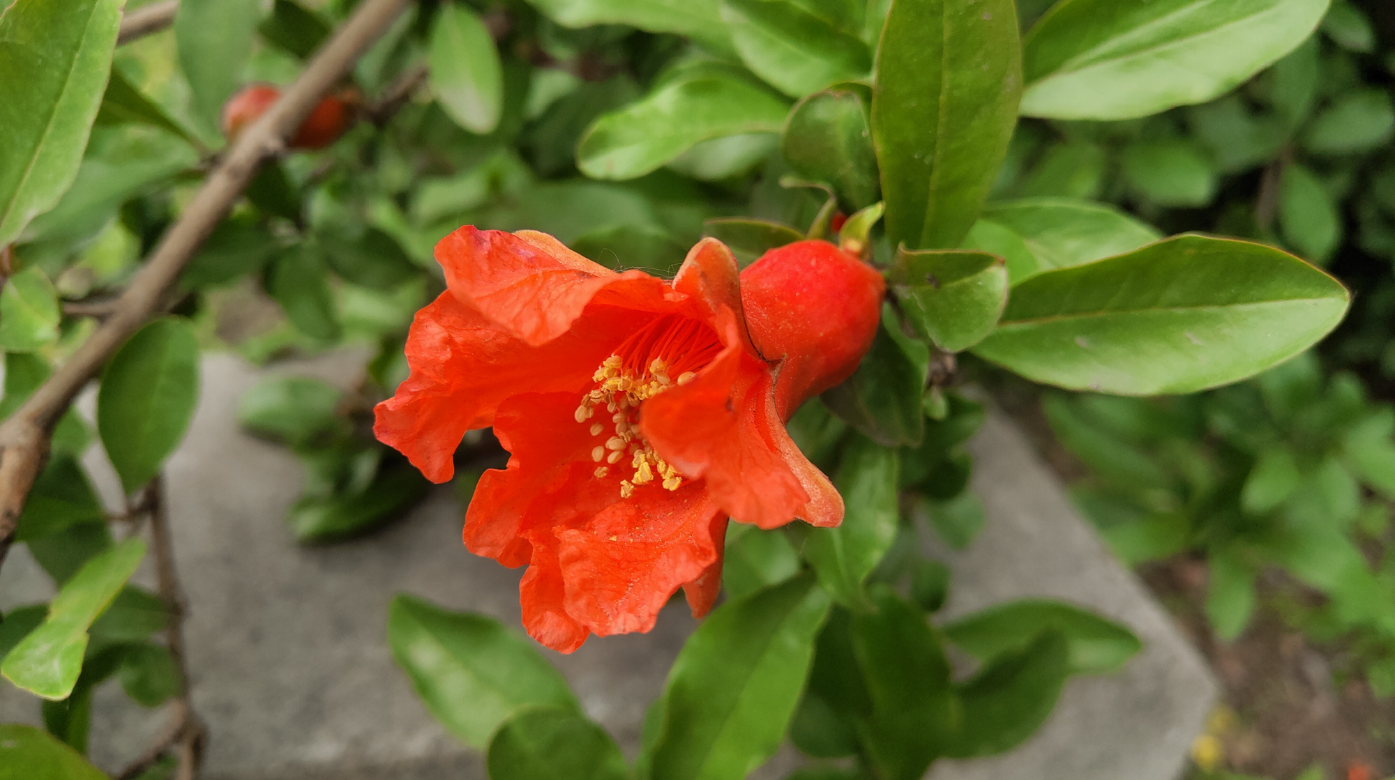 余生，淡淡爱，淡淡相守