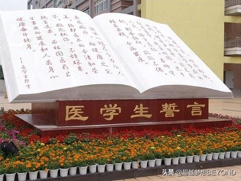 川北医学院2021年四川省本科专业录取分数统计