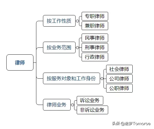 如果你想成为一名律师，应该选择什么专业和学校？