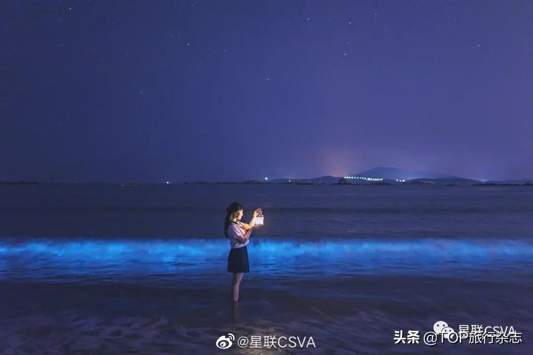 “蓝眼泪”迎来最好观赏季，长沙过去6小时，去奔赴一场蓝色梦幻海