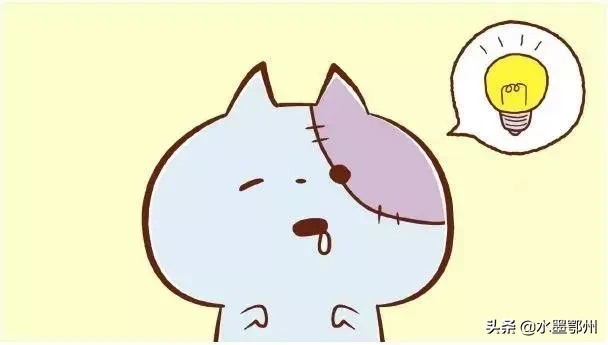 刷完100部“猫片”,发现你们对喵星人的偏见竟如此之大