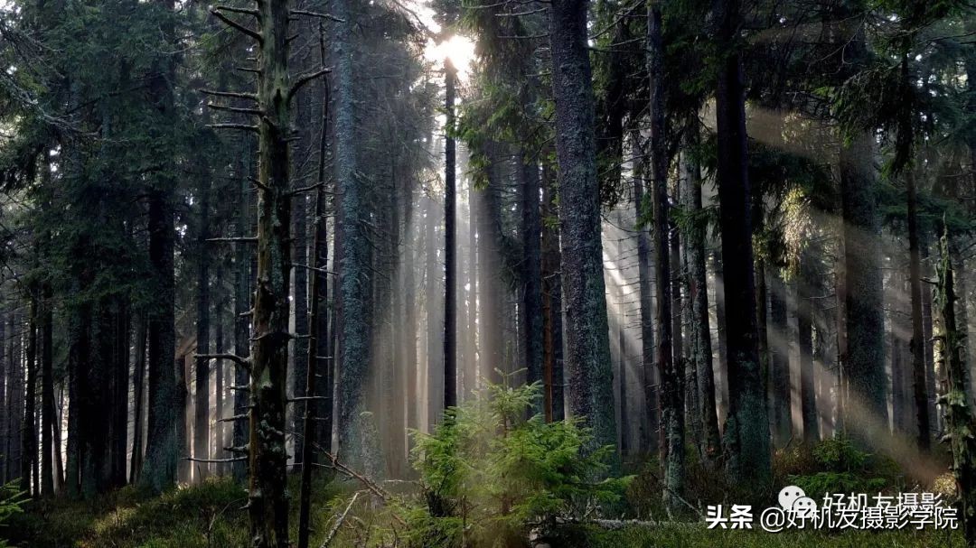 Ps≠专业，手机后期≠低端，选择适合自己的后期工具才是最重要的