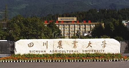 “铁饭碗”专业，开设烟草专业的十所大学，还有两所211