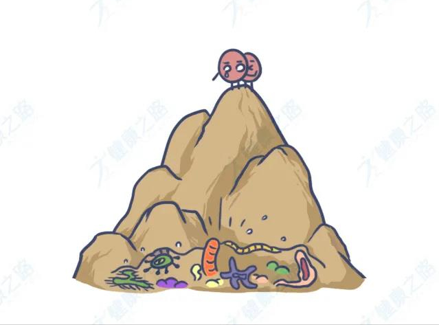 女人下面又腫又痛，可能是得了前庭大腺炎，这2个行为要注意