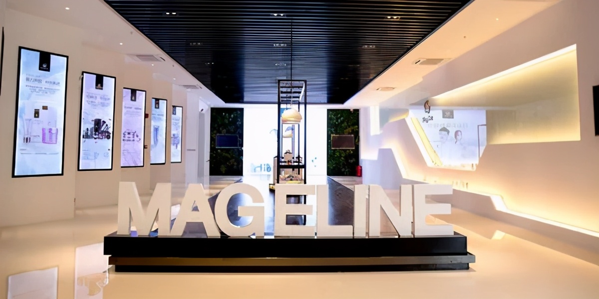 麦吉丽的隐秘世界