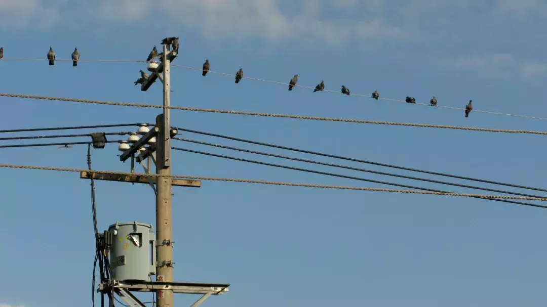 那些年，老师带我们一起唱过的班歌