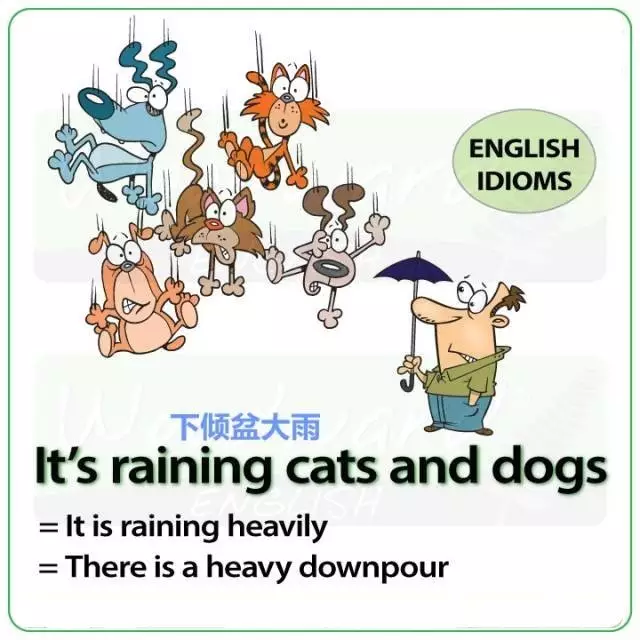 你知道各种天气的英语表达吗？五张图搞定！史上最全英语天气表达，值得收藏