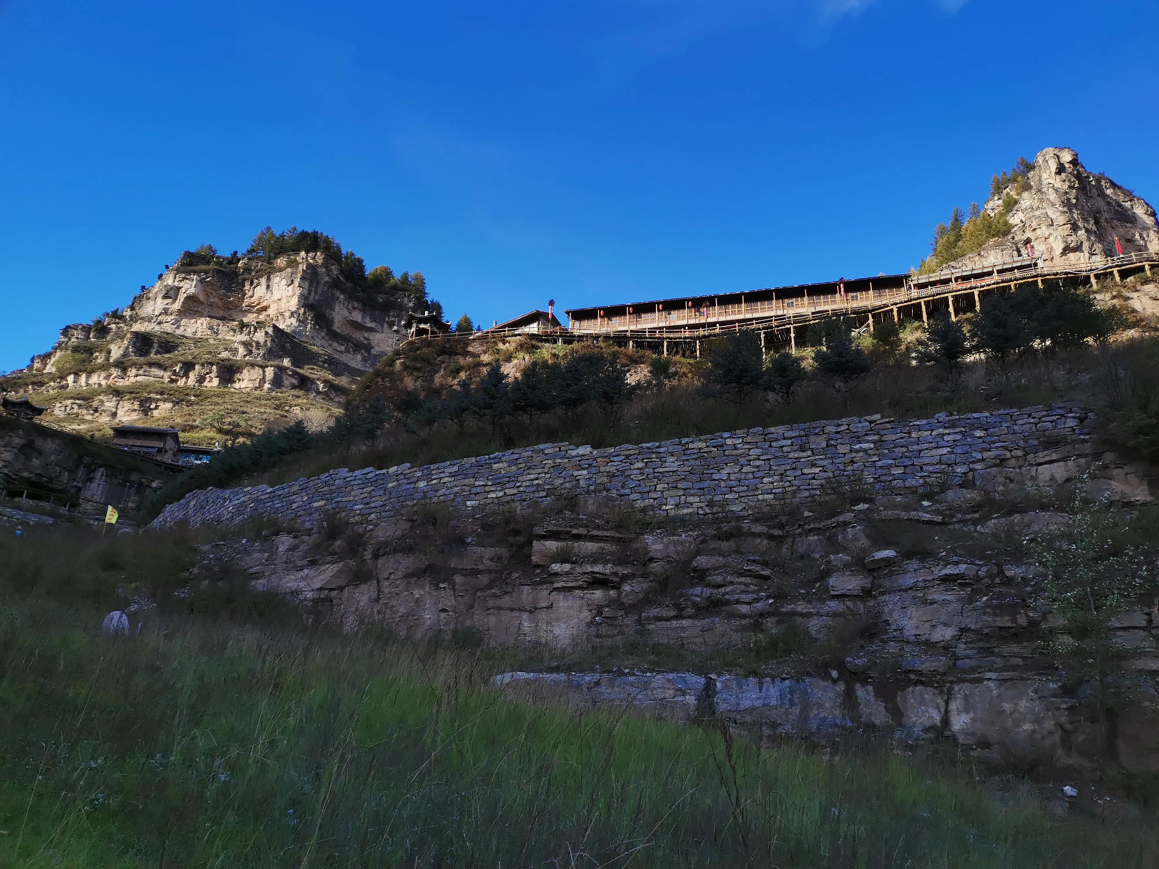 花匠日记2021一288,山西忻州市宁武县 2021年10月10日