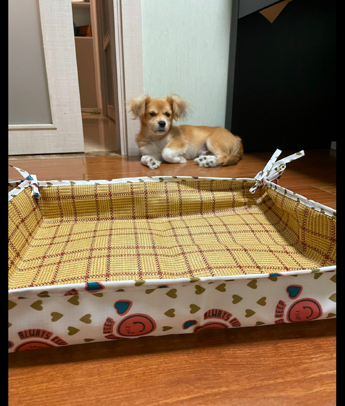 主人给狗狗买了个公主风的凉席垫子，它却是满眼的嫌弃：你睡吧