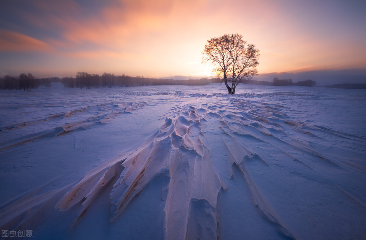 文章VS视频：短视频为何吸引了更多人的青睐？