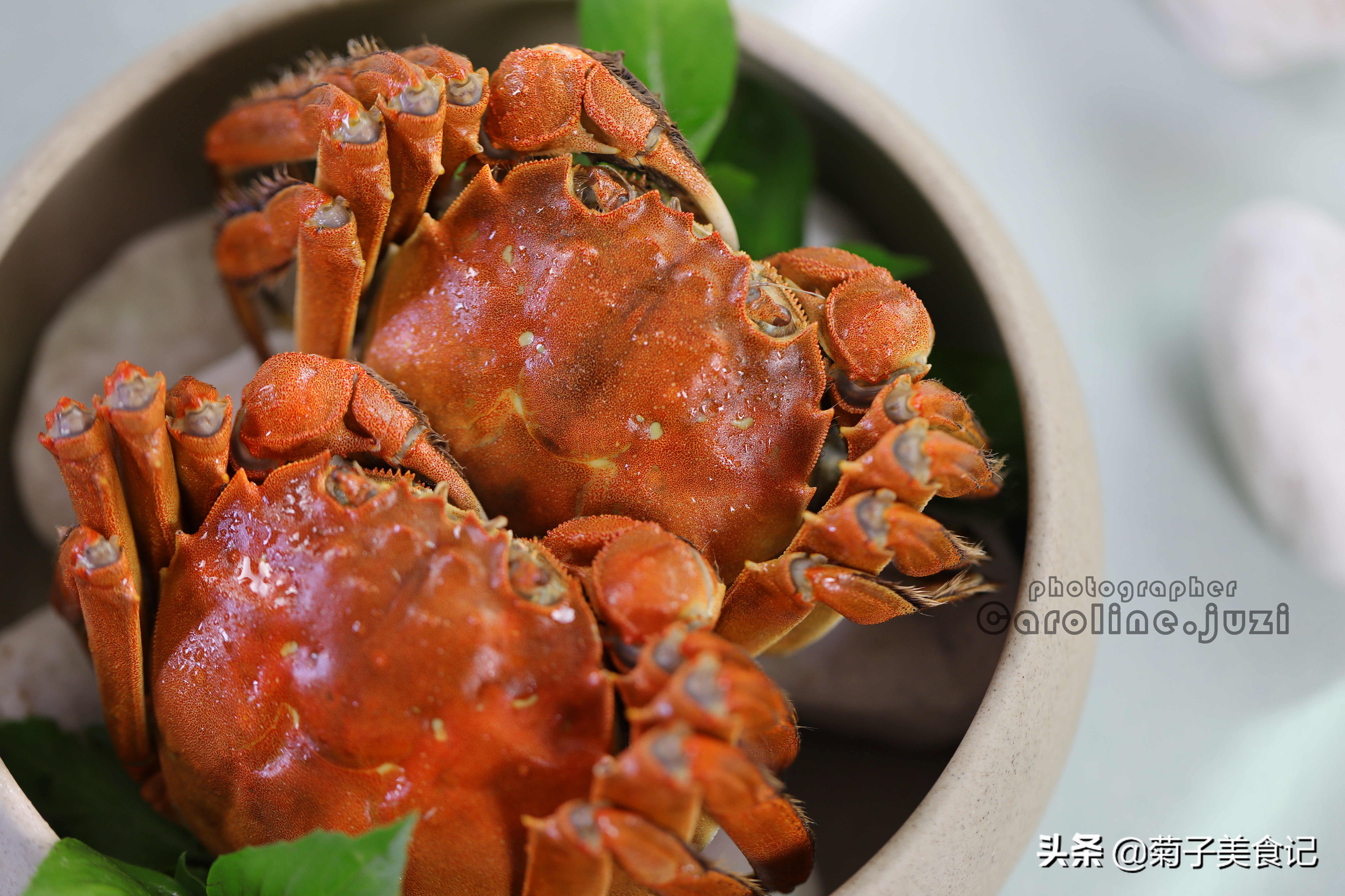 明日寒露，记得吃这8道节气美食，应季养生，传统习俗不能丢