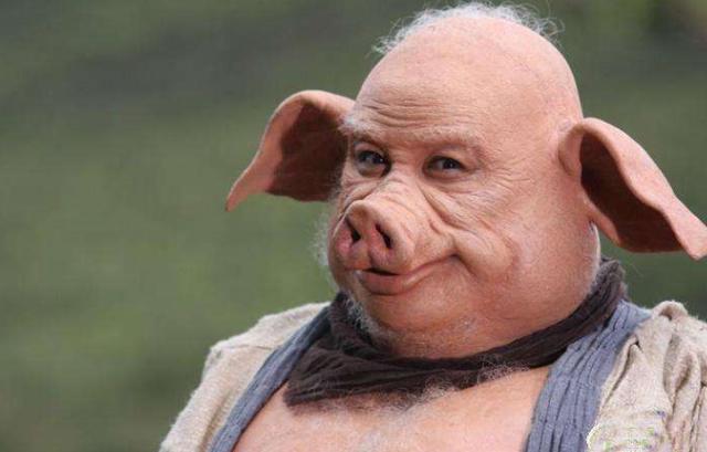 黑猪在中国已有近五千年驯养史,可现在全变成了"白猪",可叹