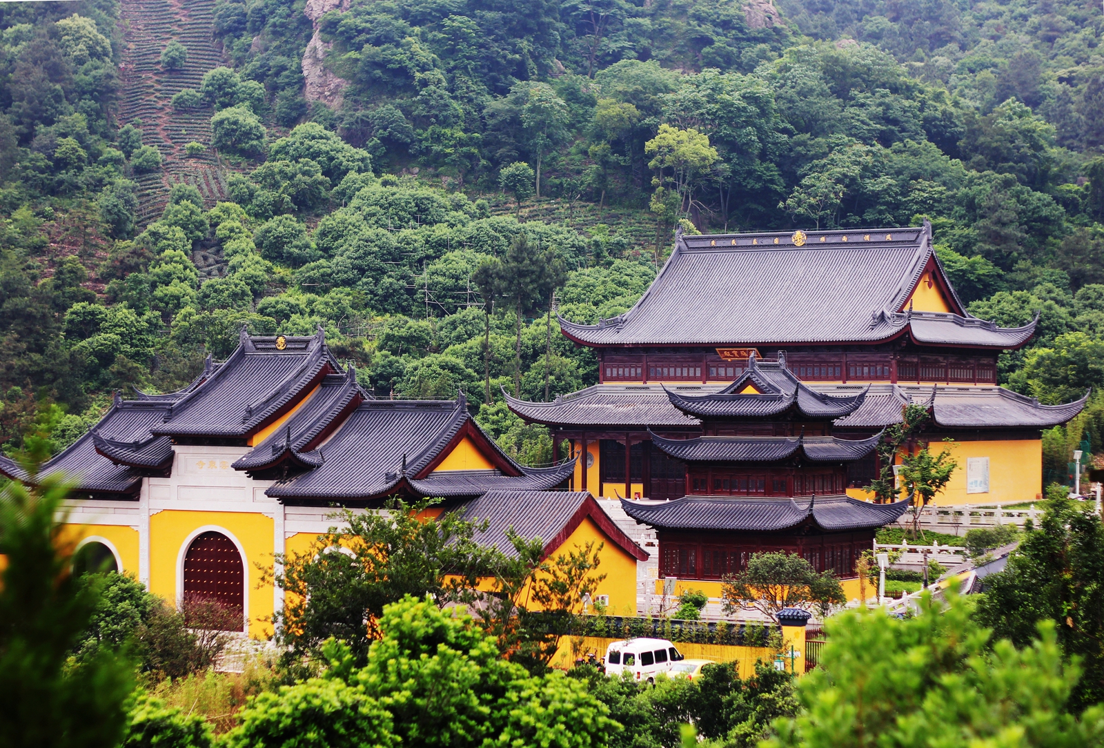 “占断天下白，压尽人间花”—单车骑游树山记