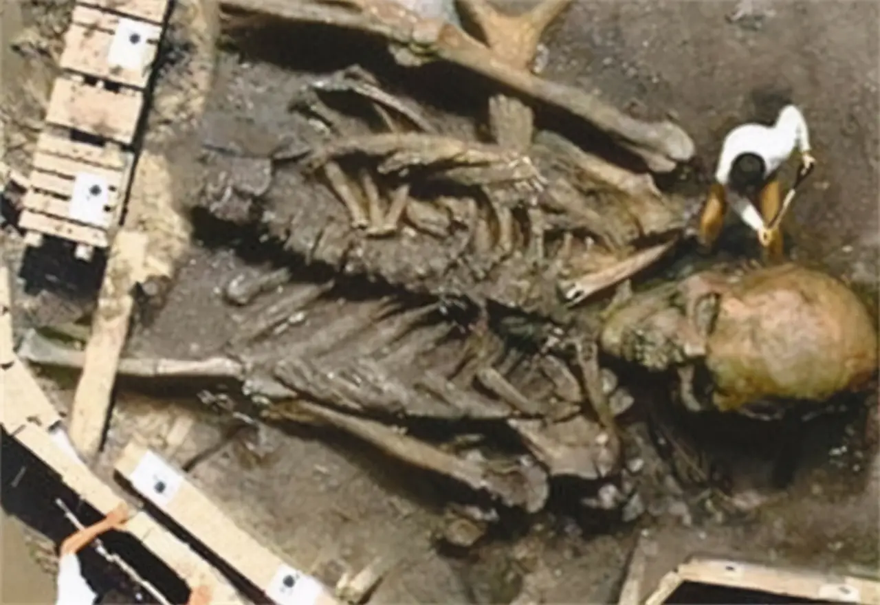 科学家不敢公开的发现（世界上曾有5米高的巨人）