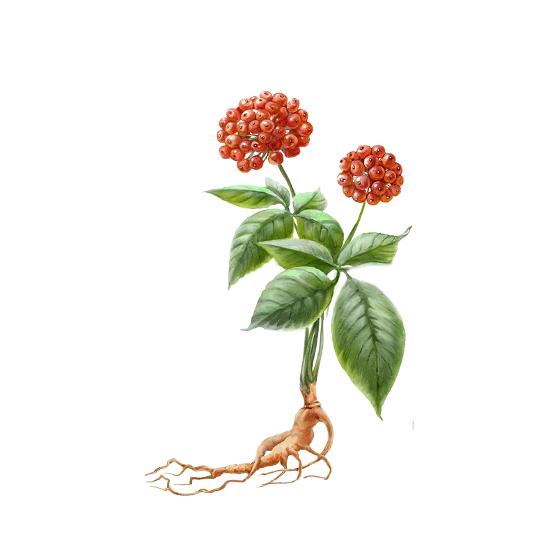 助推中医药传承创新高质量发展，吉林非遗这样做！