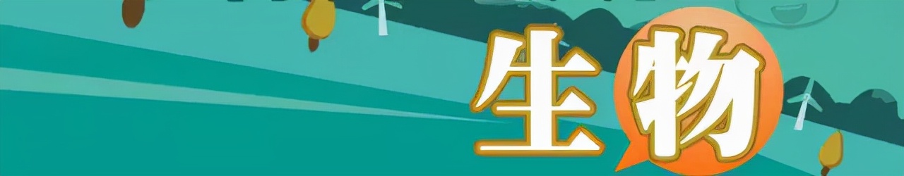 2022届高考 | 各科一轮复习高效策略&指导大汇总