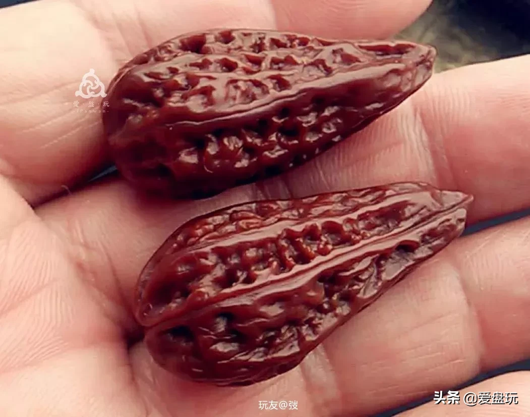 能在山上“白嫖”的10种手串,包浆超美