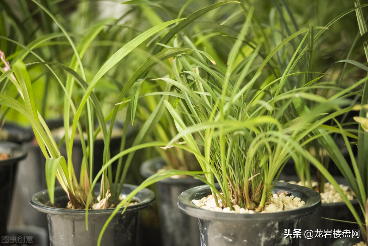 装修完房子多久可以住人？