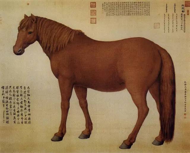 中国古今名家笔下的骏马，纵横驰骋