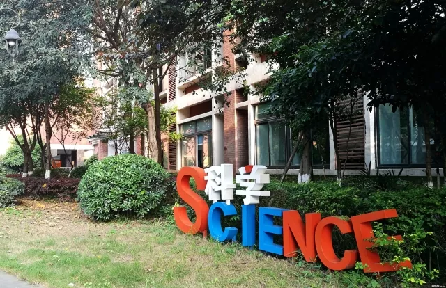 重庆名校一览 | 江北优质初中徐悲鸿中学校