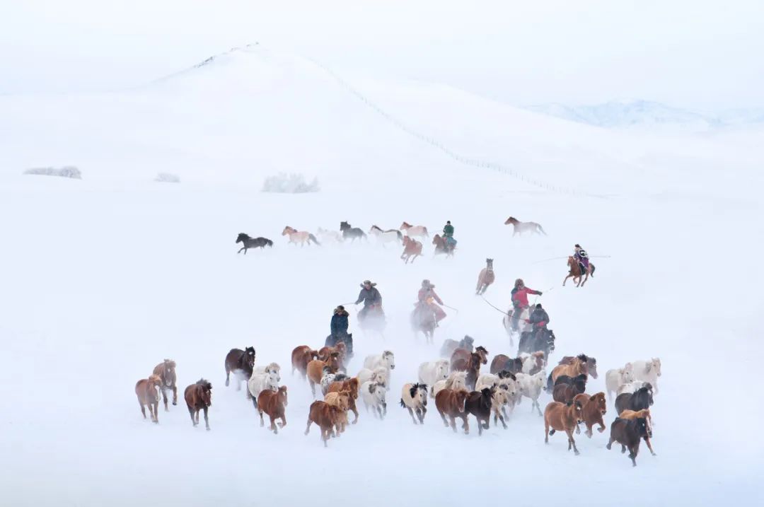 雪诗配雪景，与您尽赏冬雪之美