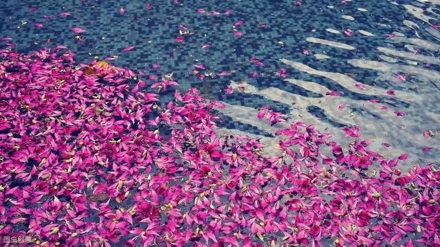 秦观《鹊桥仙》:我渴望天长地久,更想有朝朝暮暮