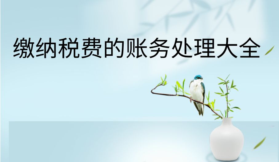 税务难题不会解决？缴纳税费的账务处理大全已整理，会计必备