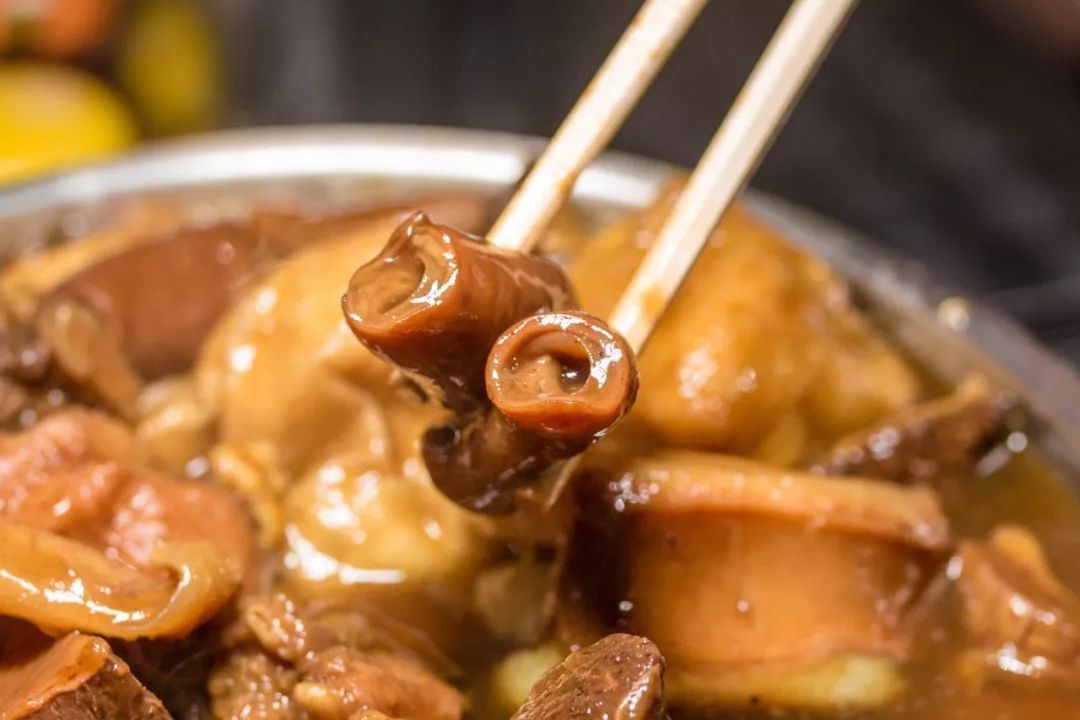 看完这一篇文章，我只想回母校——广州番禺职业技术学院了！