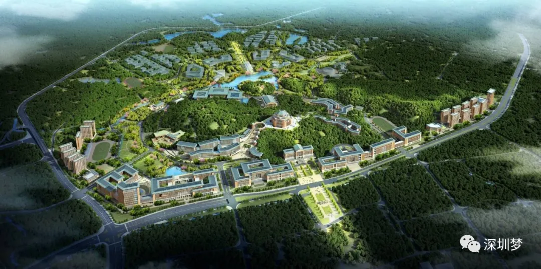 定了！中央支持，深圳第5个医学院！对标国际，面向全球招院长