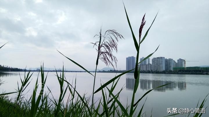 接受别人的友好，但要留够安全距离