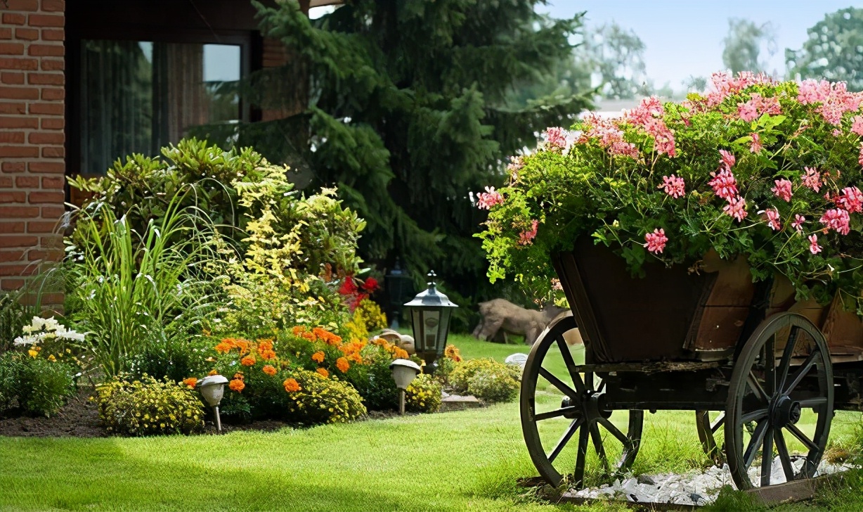 660分被浙江大学王牌专业录取，家人却一脸忧愁，考生打算复读