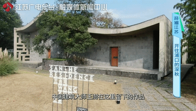 美了1500年，这里的古银杏即将迎来颜值巅峰