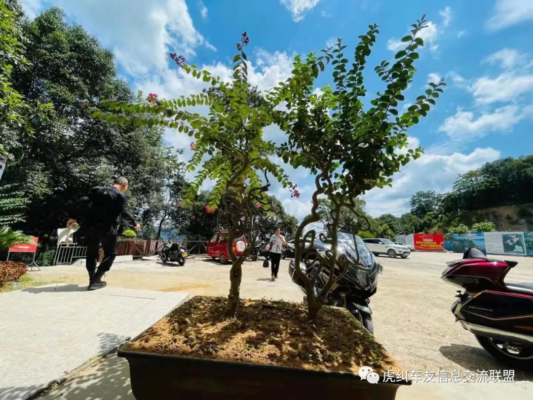 福建车茶机车俱乐部鼎力助阵首届泰宁机车旅游节花絮篇