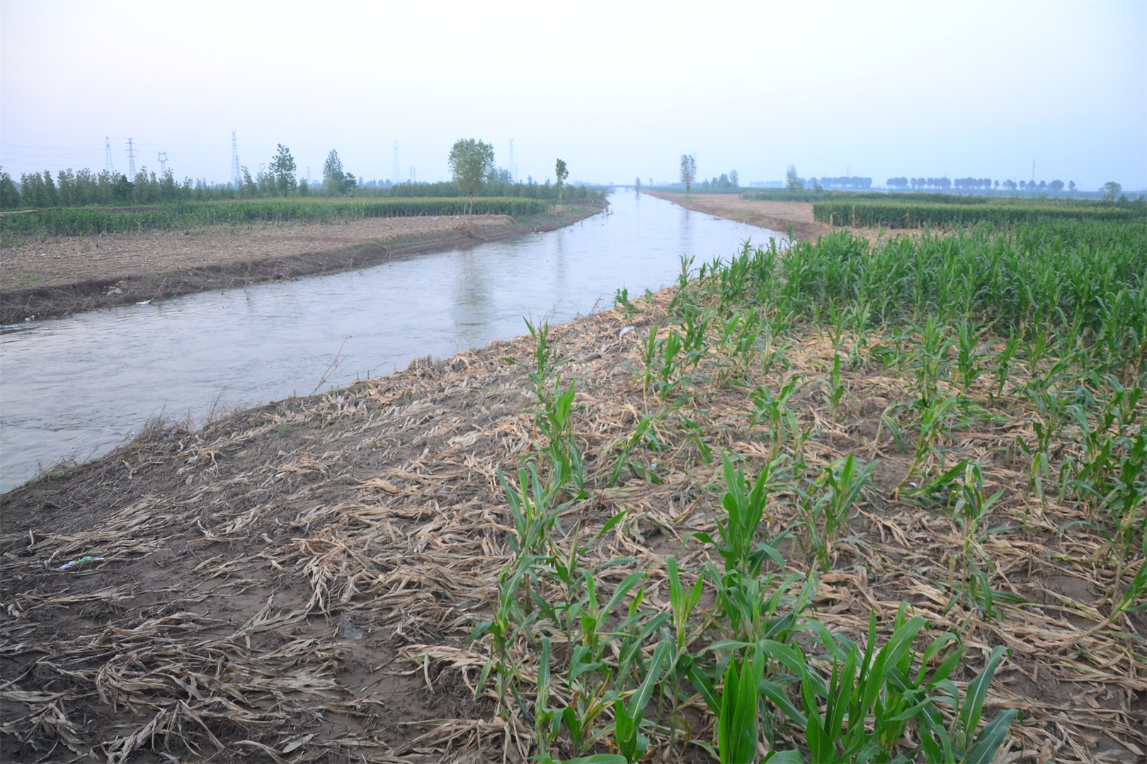 从鸡泽县普高桥开始,洺河有了河样子,据说鸡泽这段洺河还生产队时期