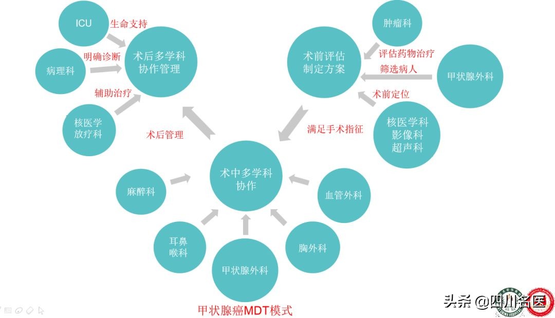 华西甲状腺医院在哪里(华西医院每年接诊4万例甲状腺病患！李志辉提醒：有4件事是在恶化甲癌…)