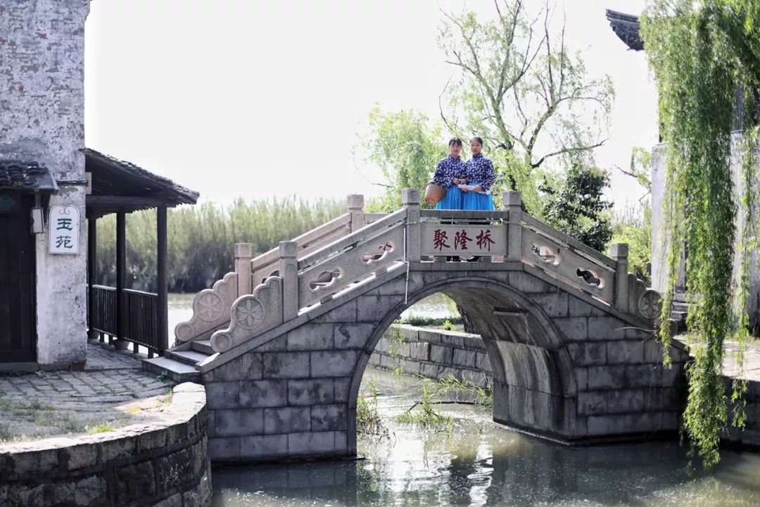 原味江南｜在春日繁花烂漫的沙家浜，等风也等你