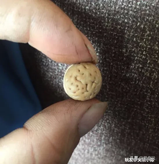 能在山上“白嫖”的10种手串,包浆超美