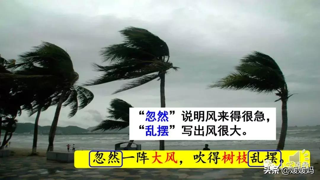 二年级下册语文课文16《雷雨》图文详解及同步练习