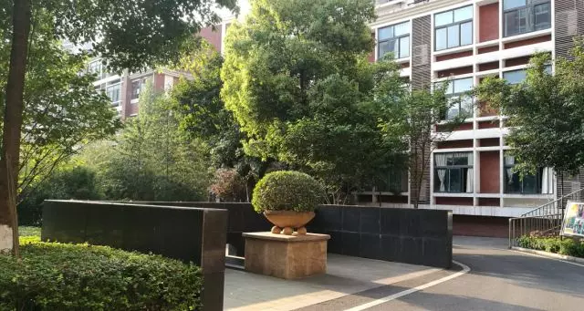 重庆名校一览 | 江北优质初中徐悲鸿中学校