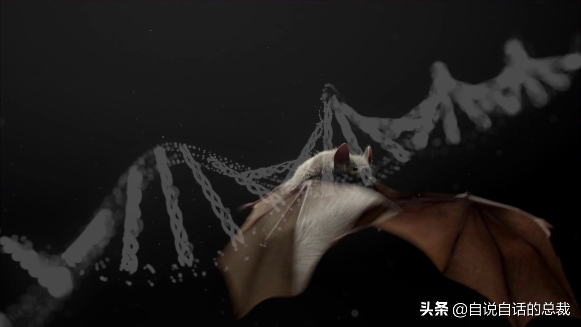 埃博拉：人类的诅咒，你的身体如何对抗它，它到底有多恐怖