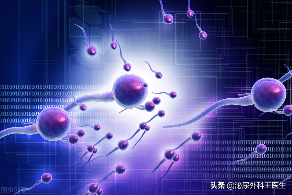 没遇上卵子的精子，最终会去哪里？