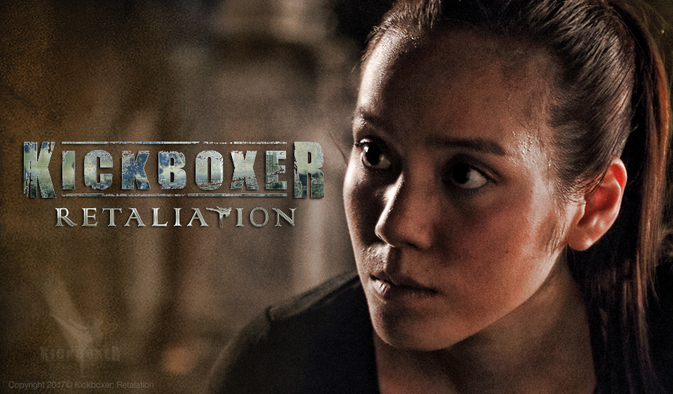 电影:搏击之王:反击