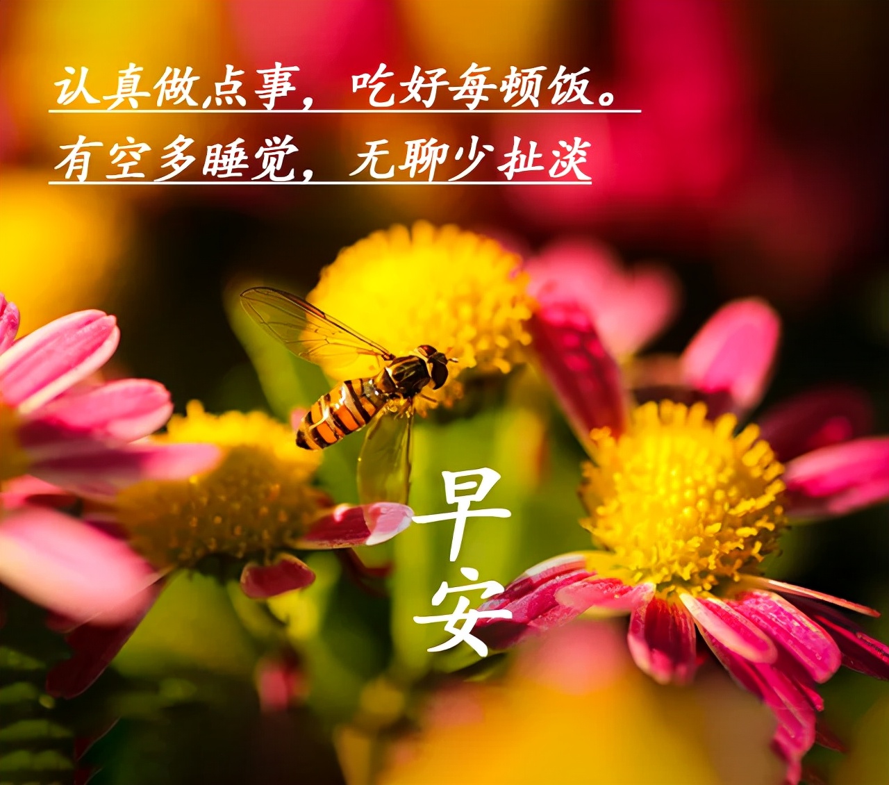 适合发朋友圈的最新早安语录图片
