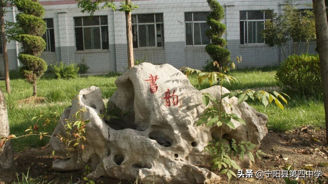 【倡议】安全无小事 责任重泰山———宁阳四中校园安全工作倡议书