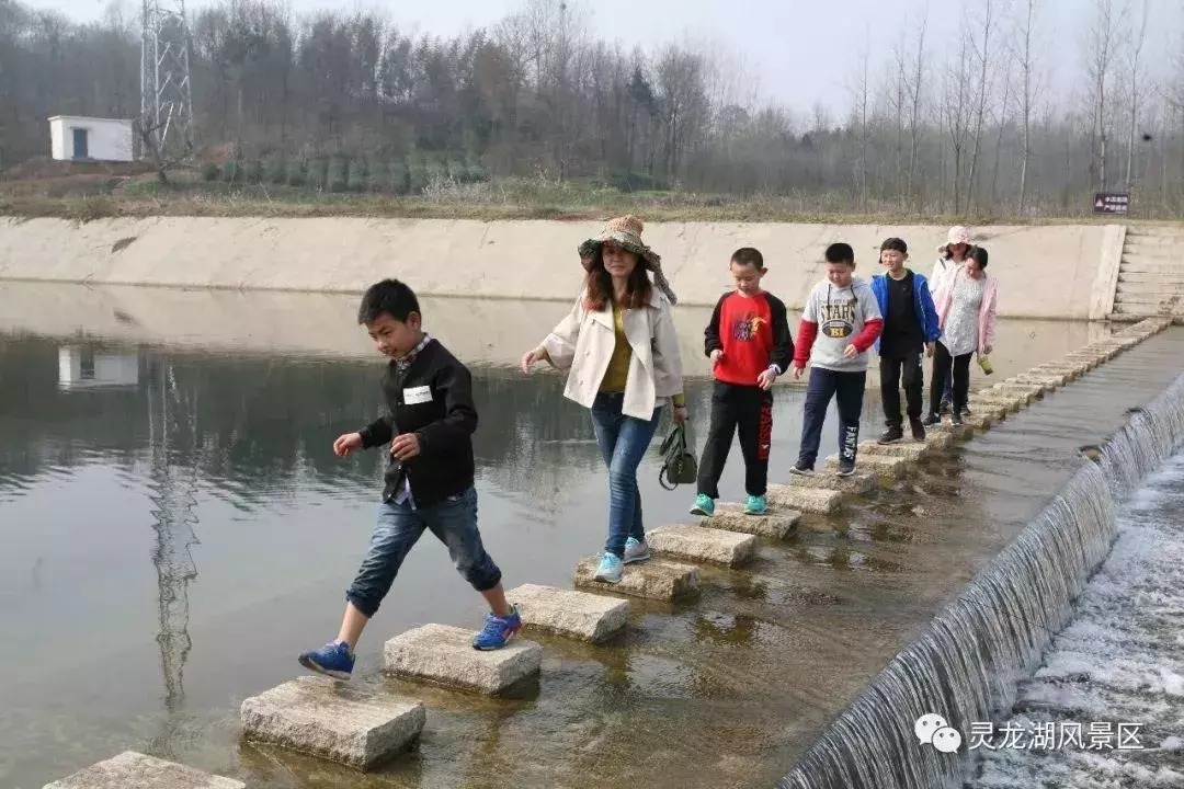 三月踏青最佳赏樱花之地,信阳这个aaaa景区免门票!