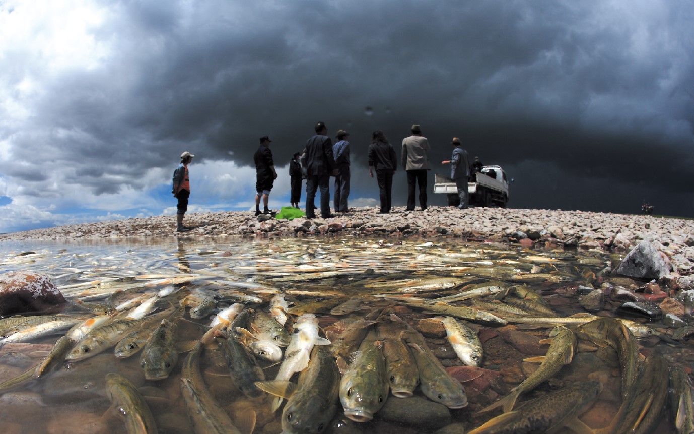 西藏的鱼产量极大，种类繁多，为什么几乎没有人吃鱼？