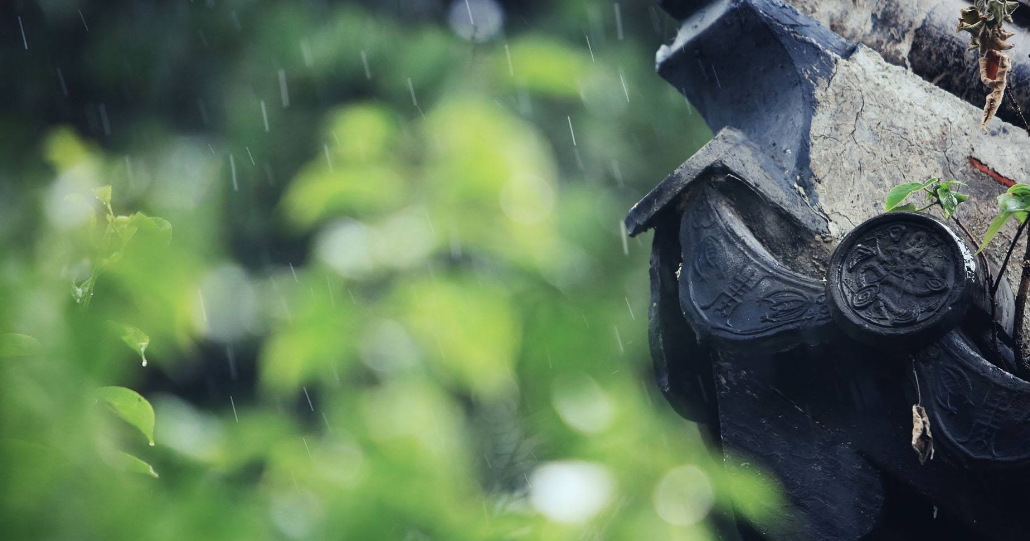 「诗词鉴赏」​大暑将至 大雨时行 一场山雨 一份诗意 一路前行