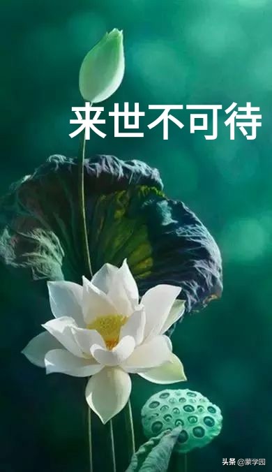 “韪”字读音及含义解析：五字详解其正确发音与用法