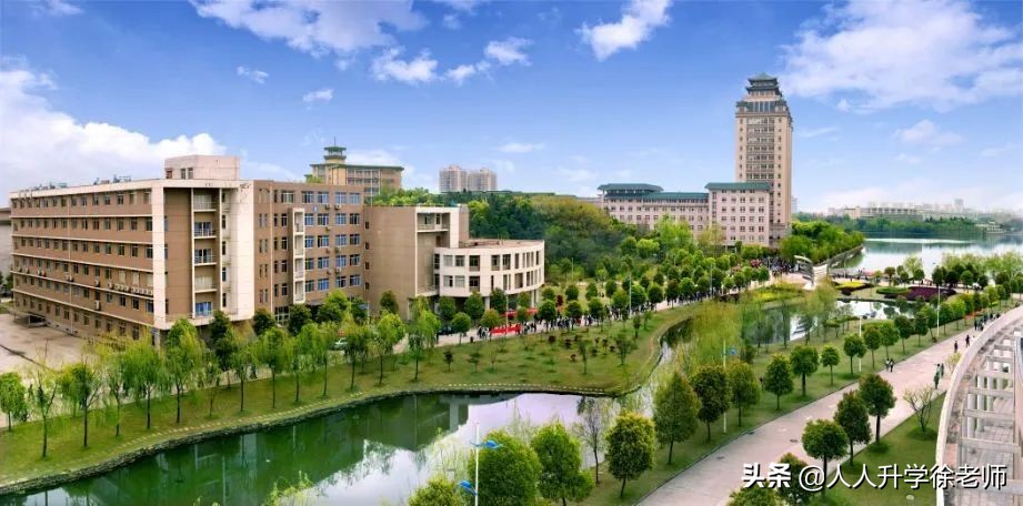 承认联考成绩的83所院校来了，艺术生必看